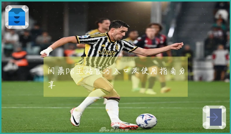 问鼎pg主站官方入口及使用指南分享