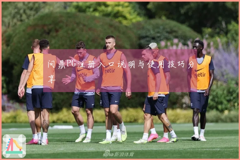 问鼎PG注册入口说明与使用技巧分享